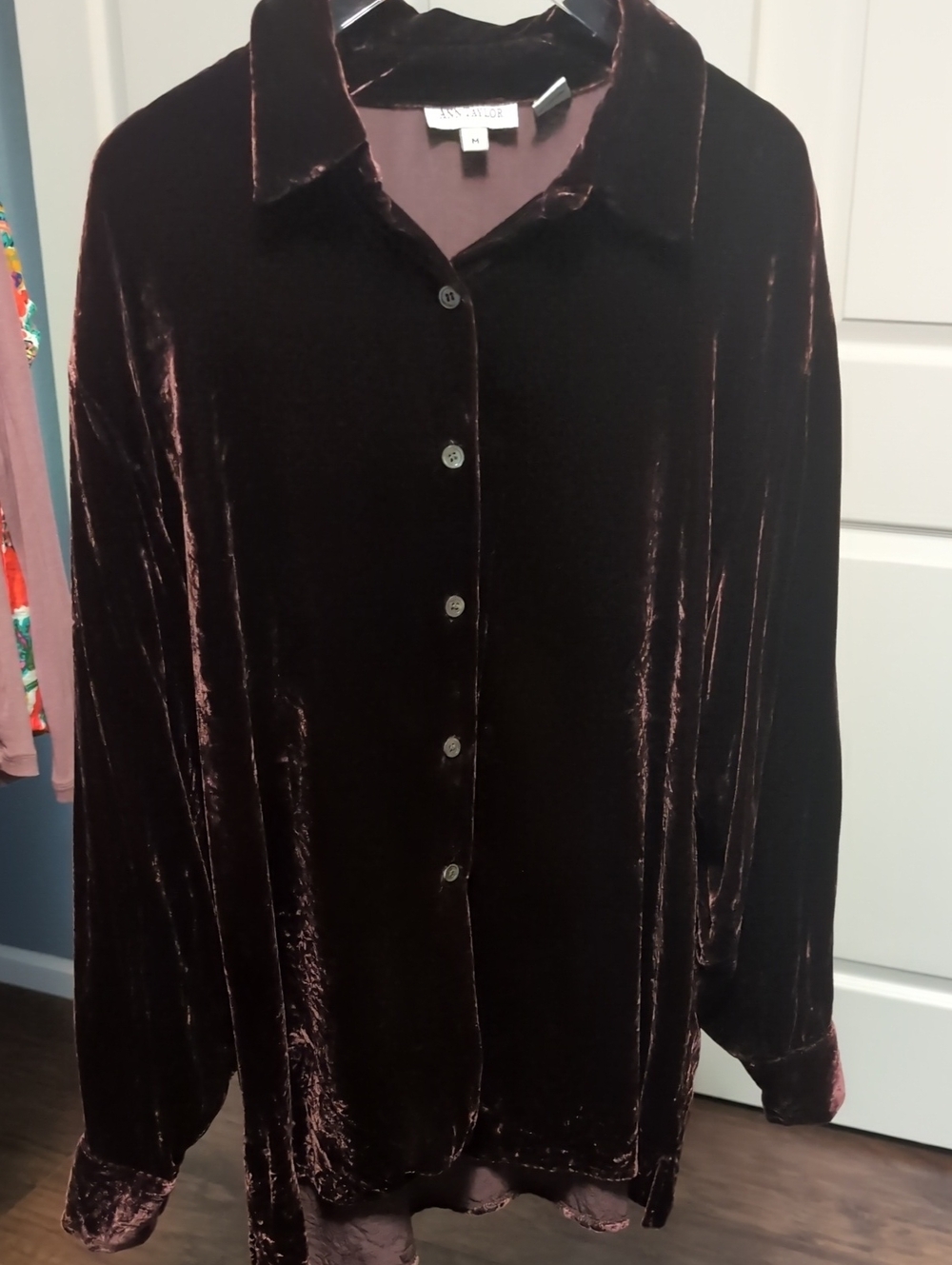 Ann Taylor Velvet Button-Front Shirt Chocolate Brown